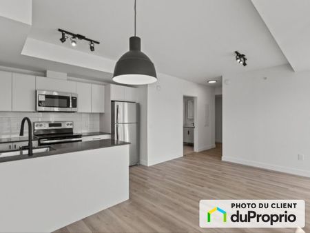 305-1133, av. Viger E, Ville-Marie (Centre-Ville et Vieux-Montréal) à louer - Photo 2