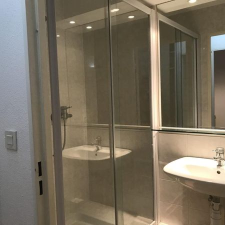 Location Appartement 1 pièce 19m² ILLKIRCH GRAFFENSTADEN 67400 - Photo 4