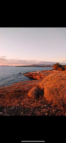 Μονοκατοικία για ενοικίαση Κέντρο Σαρωνίδας - παραλία (Σαρωνίδα) - Photo 5