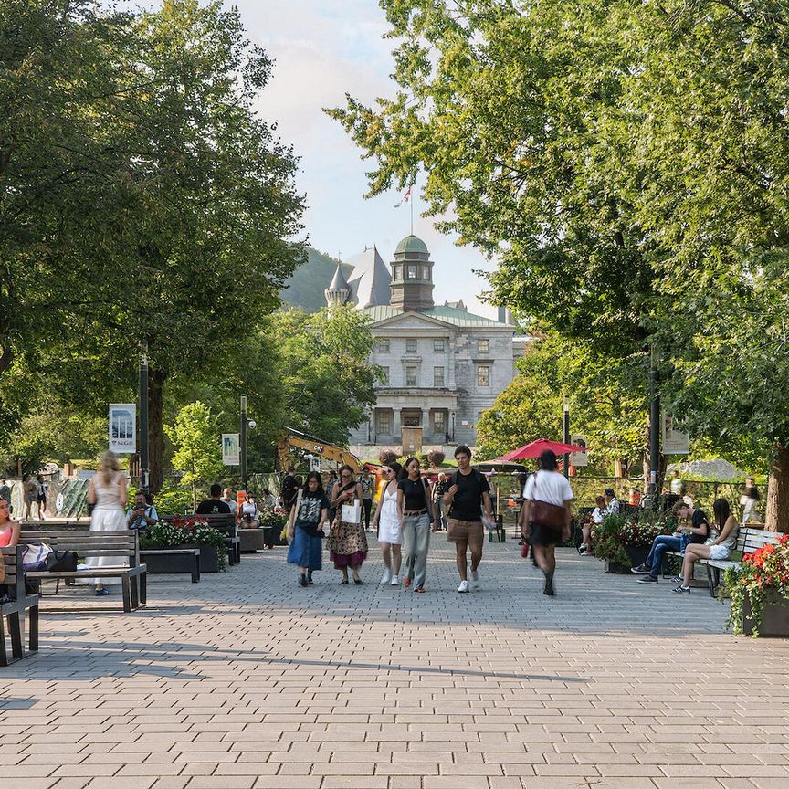 375 Rue de la Concorde, Montréal, QC - Photo 1