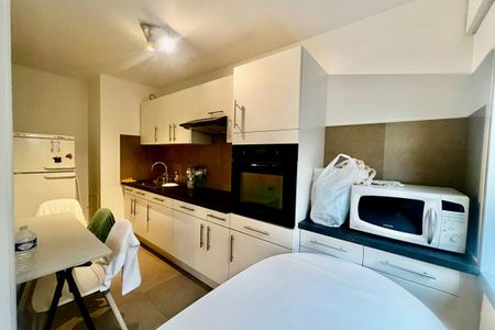 Triangle d'or - Location Grand Studio - 39 m2 - Photo 3