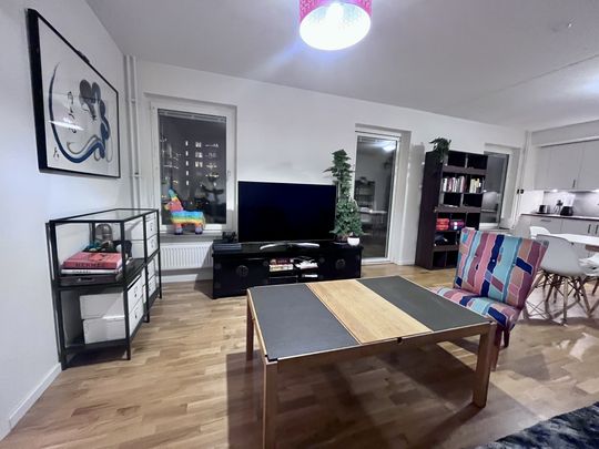 Gaffelseglet, Vega - Photo 1