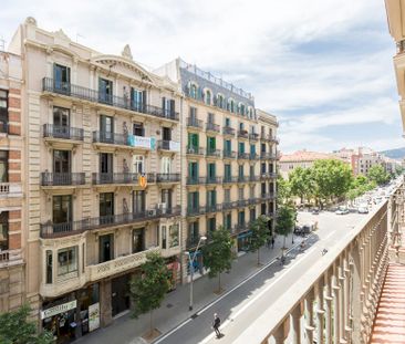 Nice room in Barcelona - Photo 1