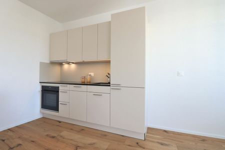 Moderne 2.5 Zimmer-Wohnung in ruhigem Quartier - Foto 2