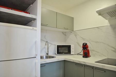 Appartement T2 TOULOUSE à louer - Photo 5