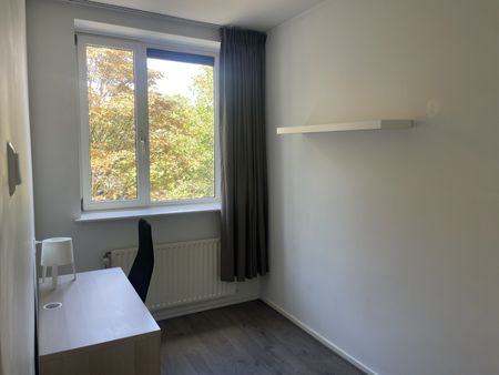 Hoogstraat - Photo 4