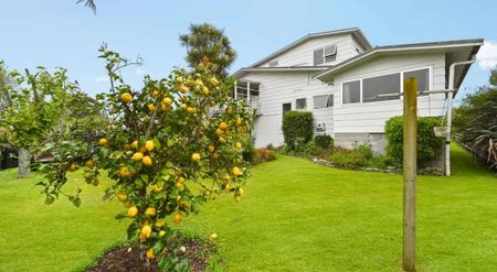 Spacious Family Living in Horotiu - Photo 2