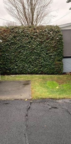 Logement à louer, Granby 3 et demi - Photo 1