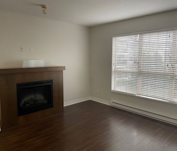 $2550/ 2 bd – Spacious 2 BD 2 BA unit at The Grove in Walnut Grove ... - Photo 1