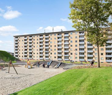 Afd. 49 Højhuset - Photo 6