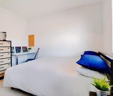 6 Bedrooms 2 bathrooms - Photo 5