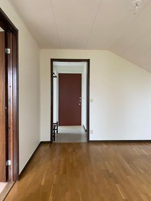 Plastvägen, Sundsvall - Foto 1