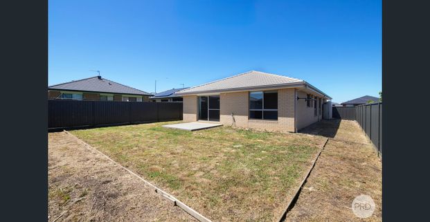 LOW MAINTENANCE LIVING IN LUCAS - Photo 1