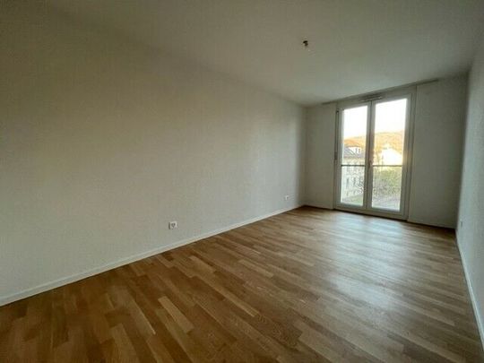 LE TICLE : Appartements neufs à louer - Photo 1