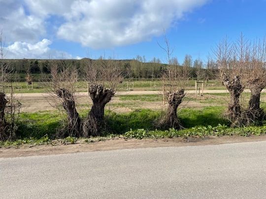 Huis te huur: Drakensbergen 3 3825 AM Amersfoort - Photo 1