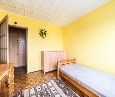 Zwierzolubne mieszkanie 2 - pokojowe - Photo 1