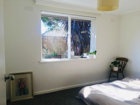 Brunswick - Photo 2