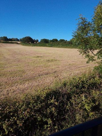 Lower Trevilla Hill, Feock, Truro, Cornwall, TR3 - Photo 3