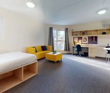 Premium Studio - Photo 5