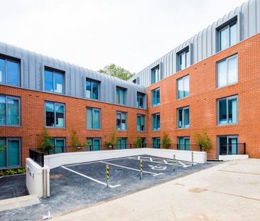 Studio to rent - Photo 4