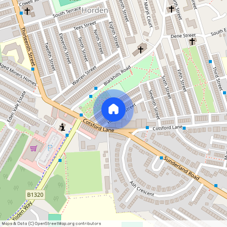 9 Hardwick Street, SR8 4JH