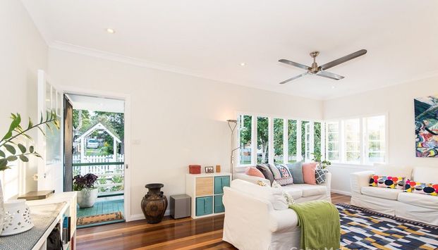 High in the Hills of Old Petrie - Photo 1