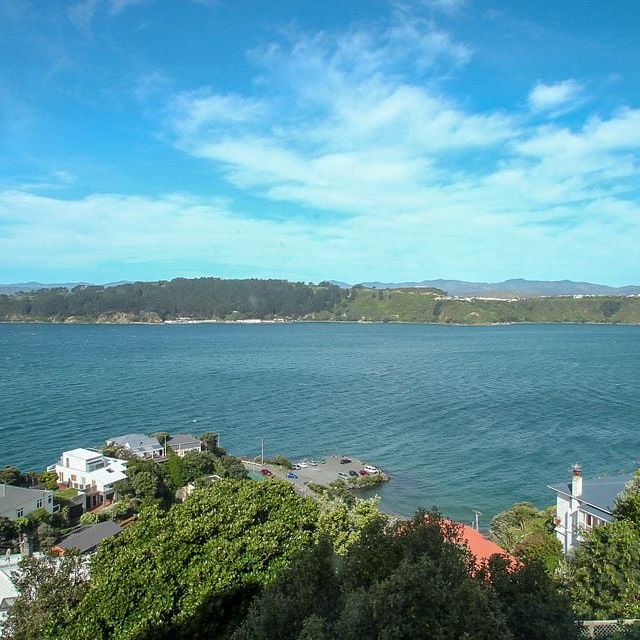 Charming 1BR Flat in Roseneath! - Photo 1