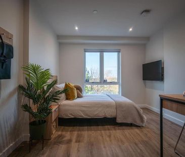 Studio to rent - Photo 4