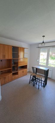 Location Appartement T1 meublé - Proche Campus - Photo 1