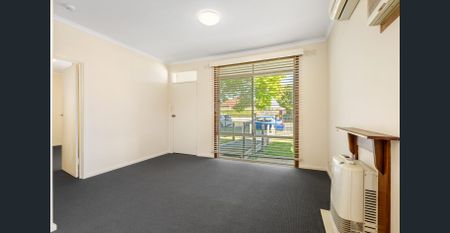 Loads of Natural Light - Photo 2