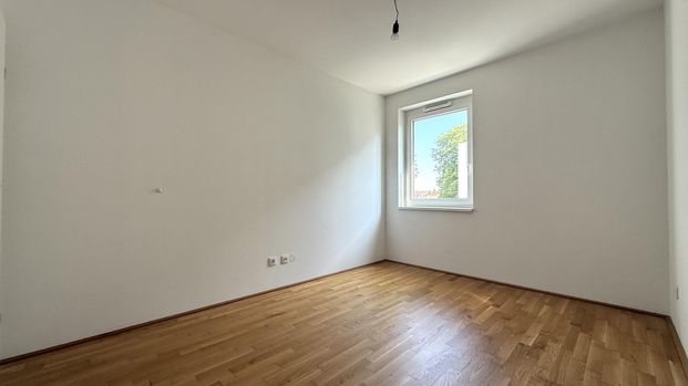 Großzügige 4-Zimmer-Neubauwohnung mit SÜD-Loggia nahe Akademiepark - Photo 1