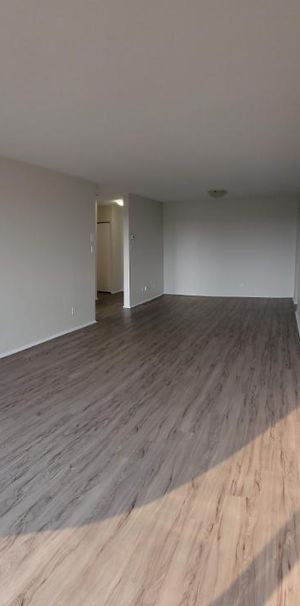 1 CH - 1 SDB - Gatineau - $1,595 /mo - Photo 1