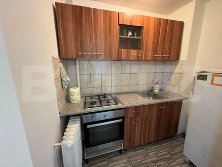 Garsoniera de inchiriat, 33 mp, zona Brazda lui Novac - Fotografie 3