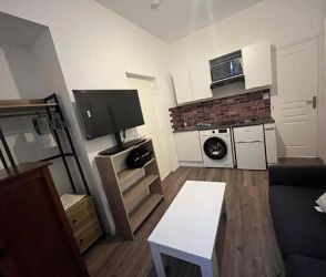 Location Appartement 1 pièces à Perpignan - Photo 6