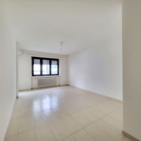 4.5 rooms +2 acc, Renovated - Photo 1