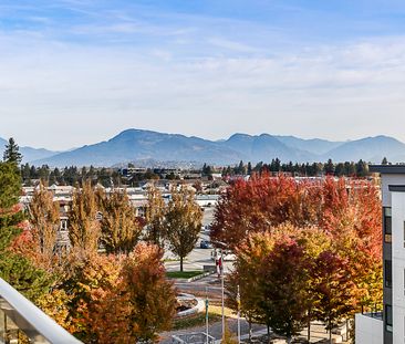 YORK 3 - 509C - YR509C - Photo 4