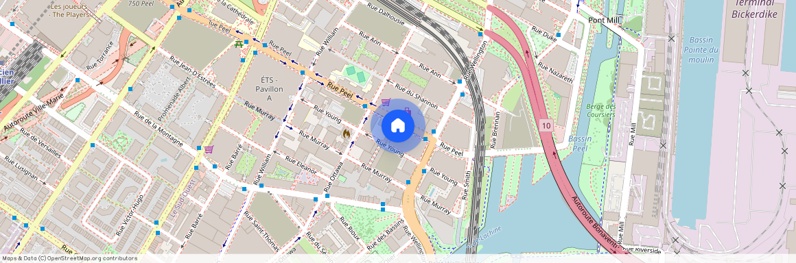 235 Rue Young, Montréal, QC