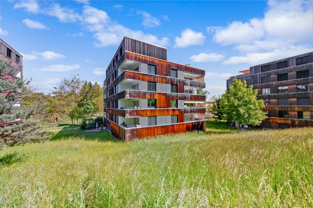 Traumwohnung mit grossem Balkon! - Foto 1