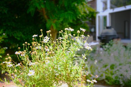 Nicolaïstraat, 79, 2517TA, Den Haag - Photo 5