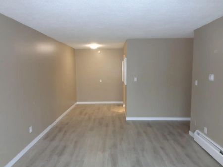 Villa Katya — 1 Bedroom - Photo 3