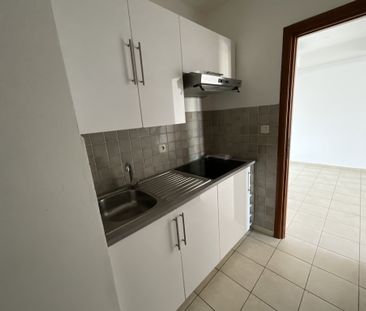 Location Appartement 2 pièces 37m² PENTA DI CASINCA 20213 - Photo 3