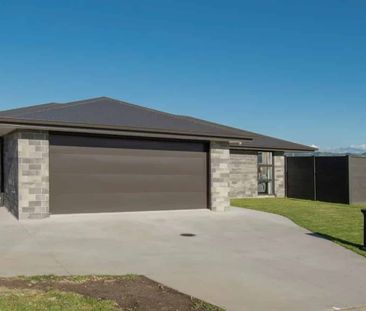 Modern 3 bed 2 Bath in Omokoroa. - Photo 3