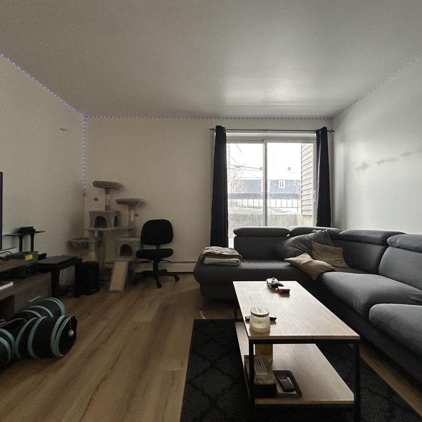 Roses Appartement 4 ½ à Louer Charlesbourg Juillet 2026 - Photo 1