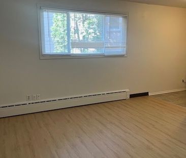 1 BDRM/1 BATH - 409 4TH AVE N - Available NOV 1 - Photo 4