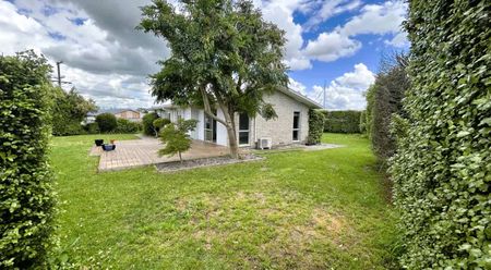 3 BEDROOM - TE AWAMUTU - Photo 5