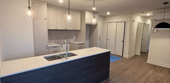 3 CH - 1 SDB - Saint-Hyacinthe - $1,650 /mo - Photo 2