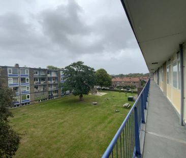 Appartement de 2 chambres Mauvestraat, Apeldoorn - À Louer - Foto 1