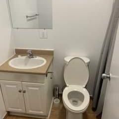 1 CH - 1 SDB - Gatineau - $1,349 /mo - Photo 1