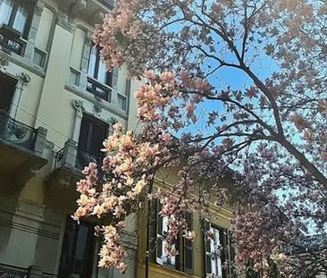 Via Orti, Milan, Lombardy 20122 - Photo 2