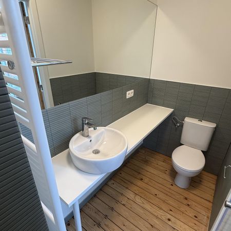 — Papegaaistraat - Photo 3